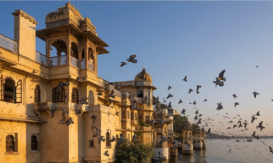 udaipur